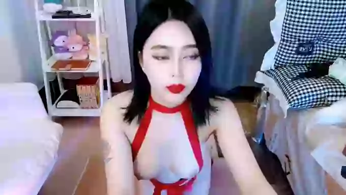 aijiajia