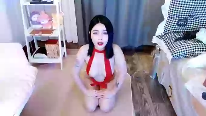 aijiajia