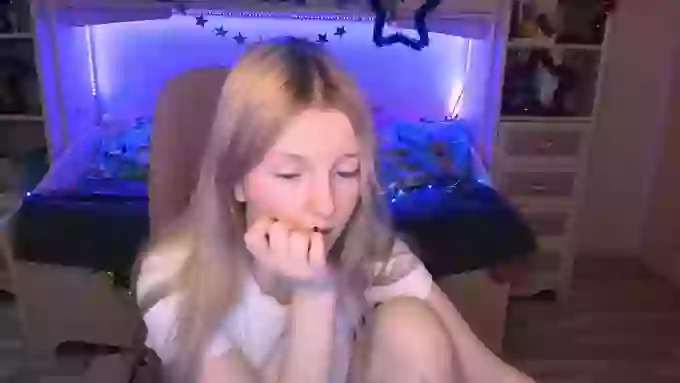 ShyyFox