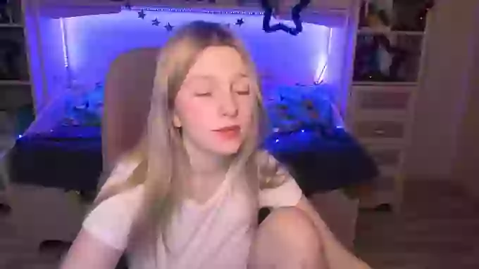 ShyyFox