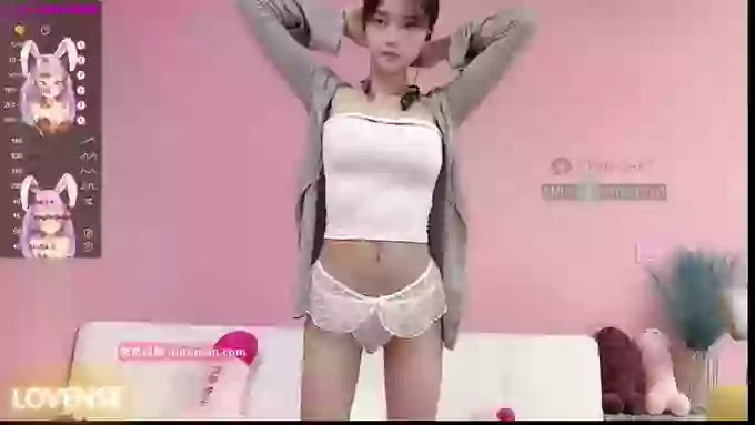 MiBao_