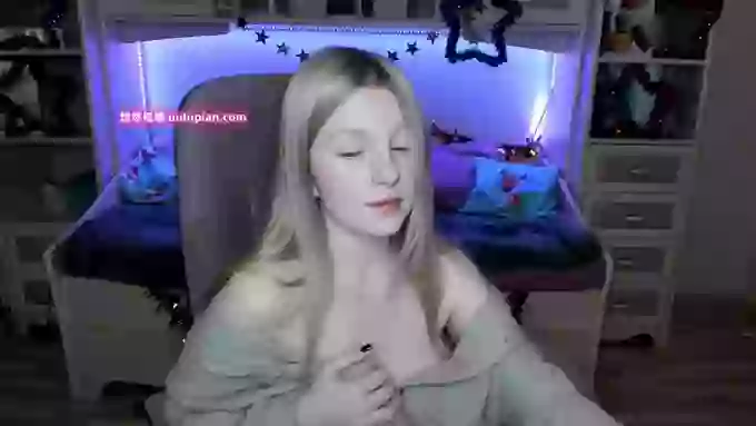 ShyyFox