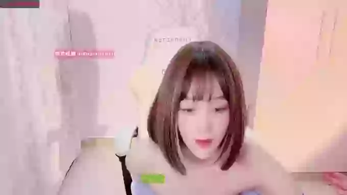 BF_JIAJIA