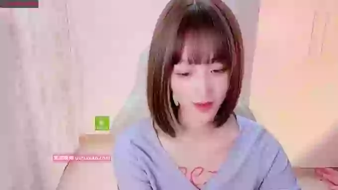 BF_JIAJIA