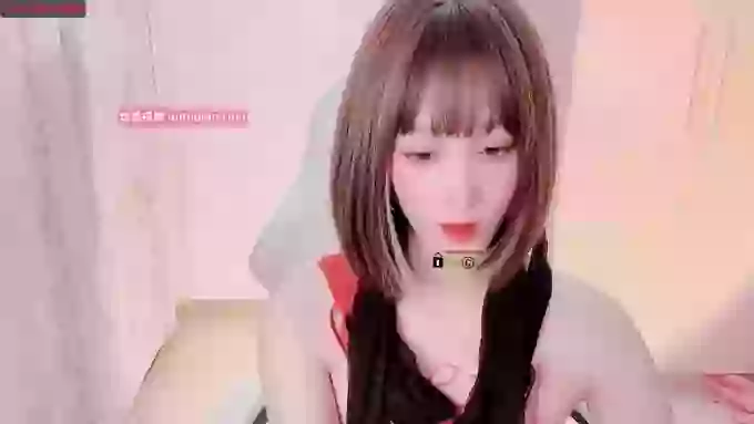 BF_JIAJIA