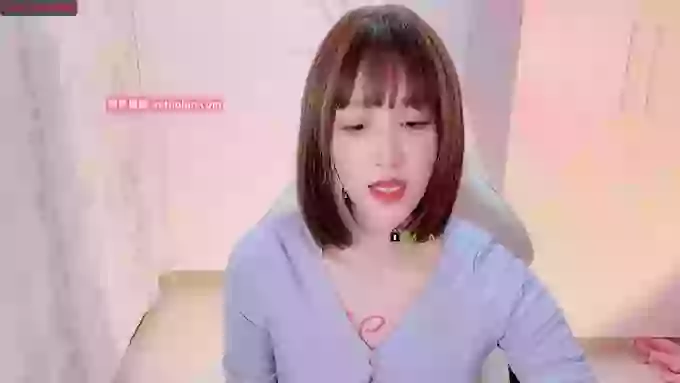 BF_JIAJIA