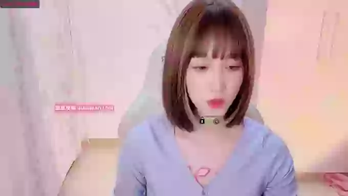 BF_JIAJIA