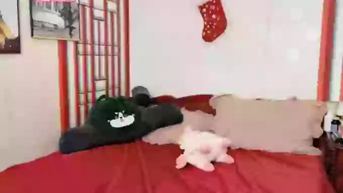_Aiko_