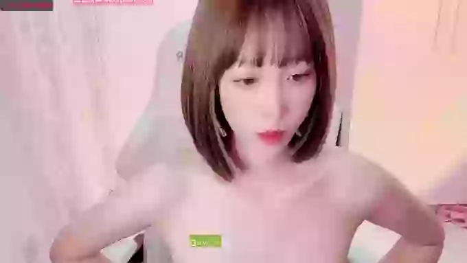 BF_JIAJIA