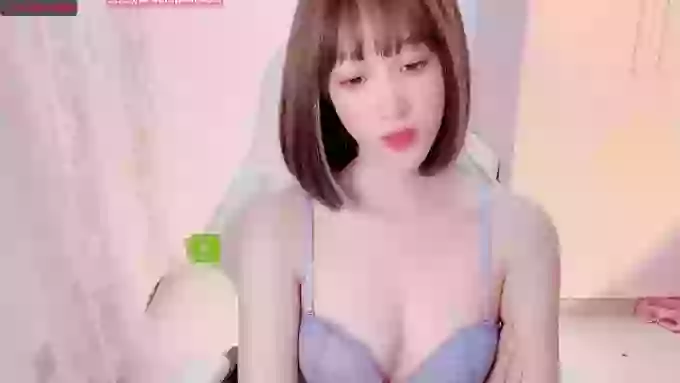 BF_JIAJIA