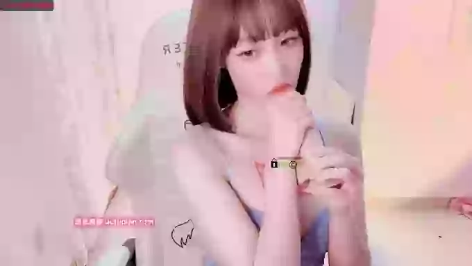 BF_JIAJIA