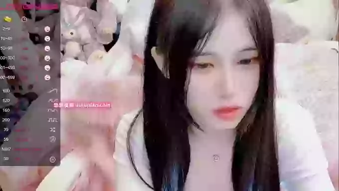 daisy_top