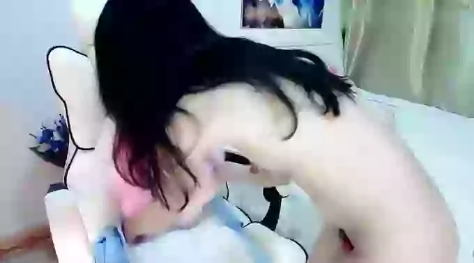 susu-dy