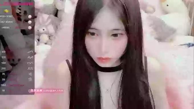 daisy_top