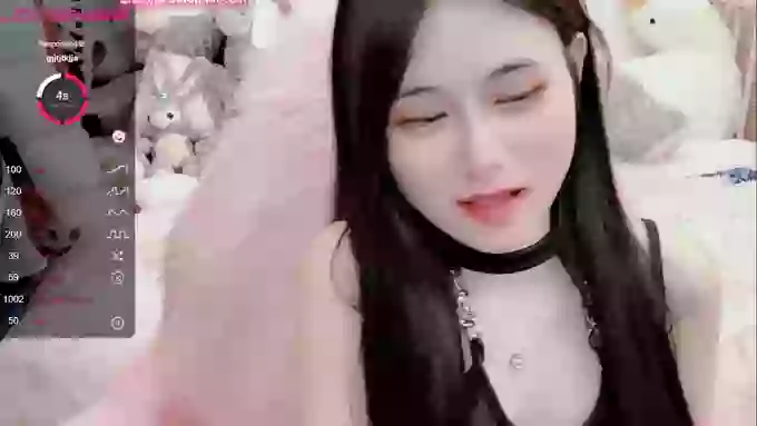 daisy_top