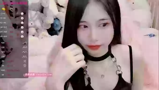 daisy_top