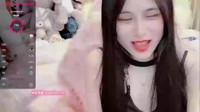 daisy_top