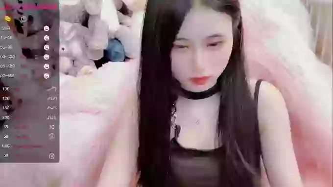 daisy_top