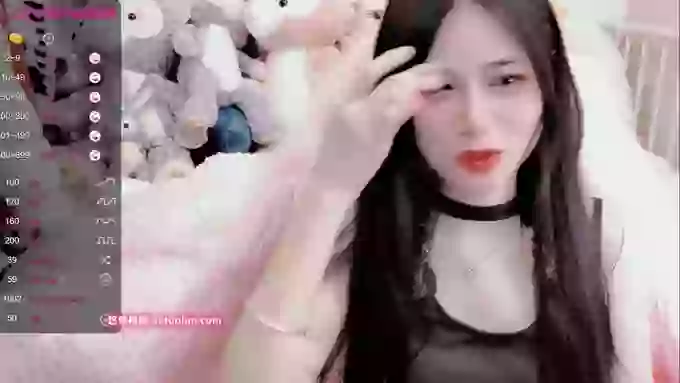 daisy_top