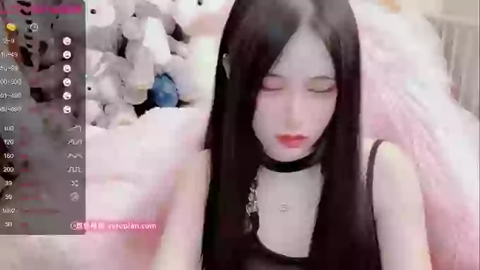 daisy_top