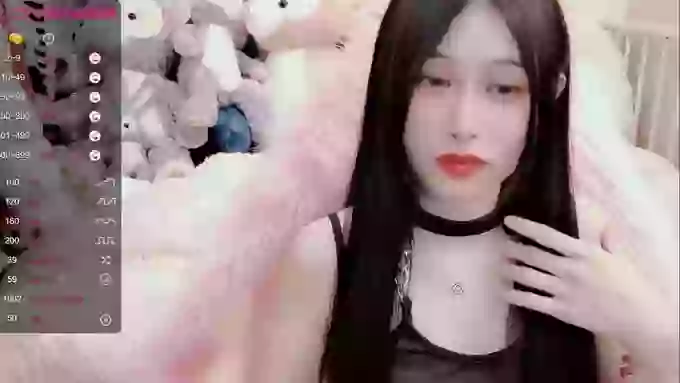 daisy_top