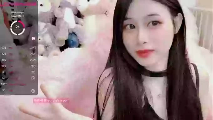 daisy_top