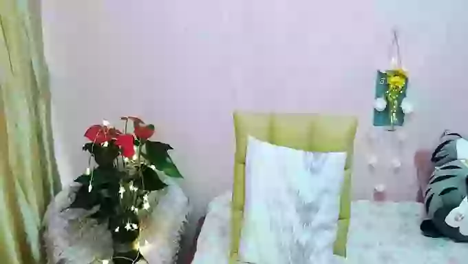 Alisa-C