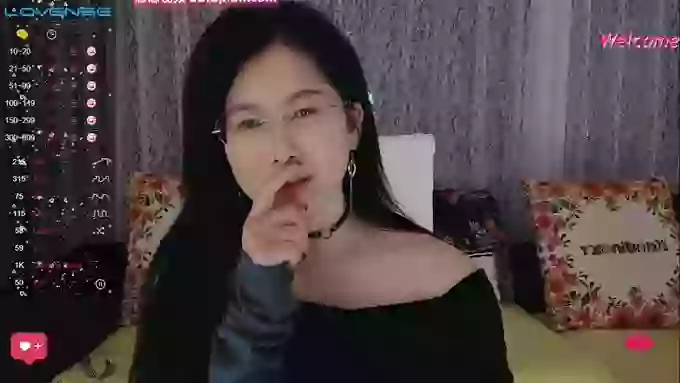 xiaodan520