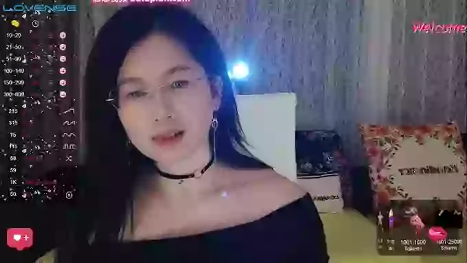 xiaodan520