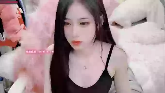 daisy_top