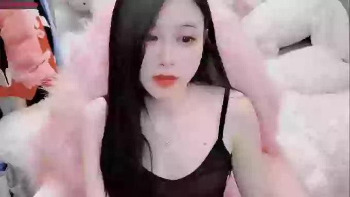 daisy_top