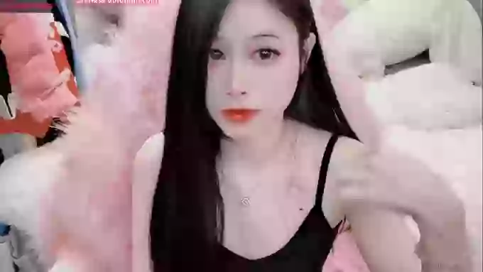 daisy_top