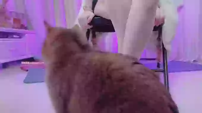 Angela88