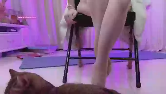 Angela88