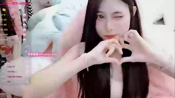 daisy_top