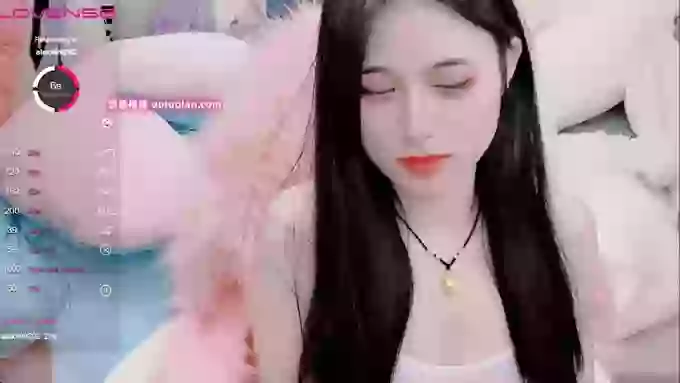 daisy_top