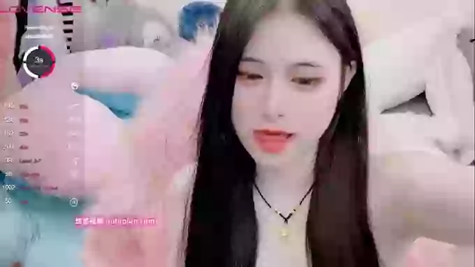 daisy_top