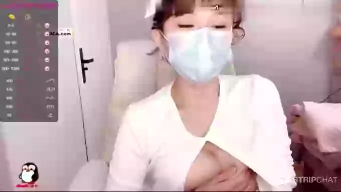 SUGAR_tangtang