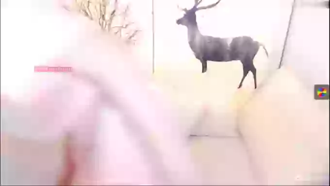 _CHANEL__