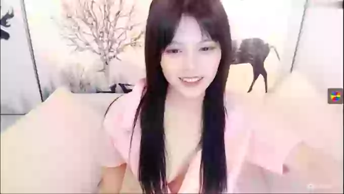 _CHANEL__