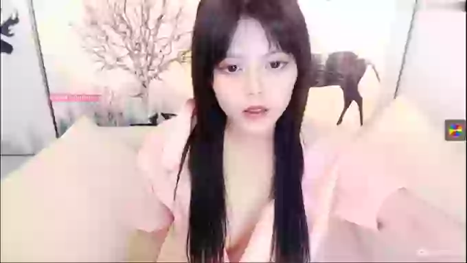 _CHANEL__