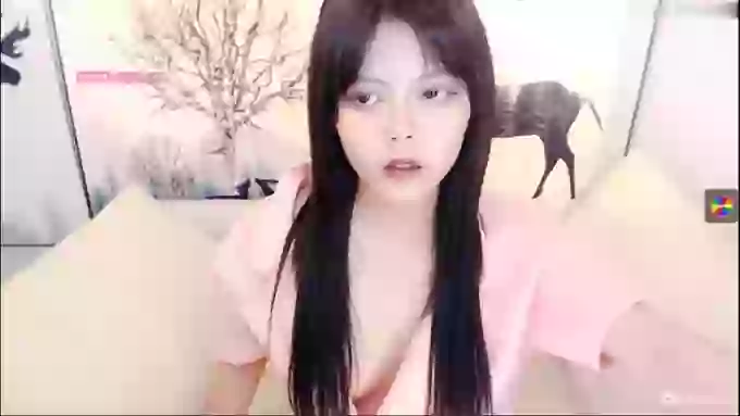 _CHANEL__