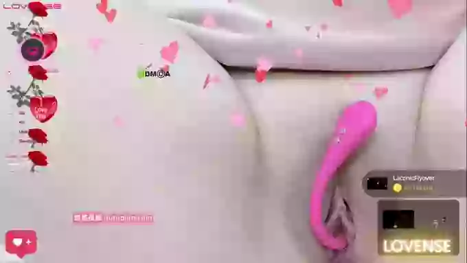 Pamper_