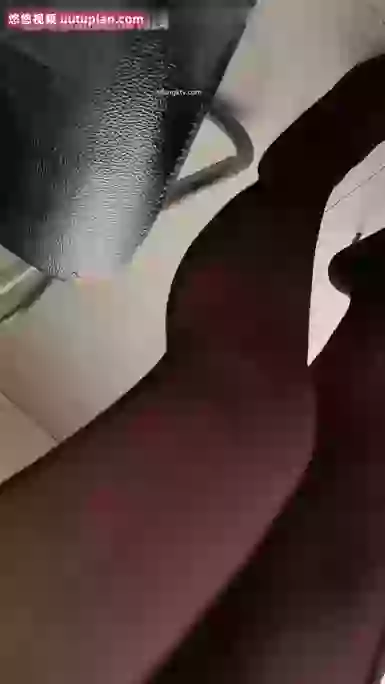 小妲己-漂亮女老师