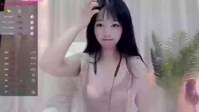 CAiHongtutu