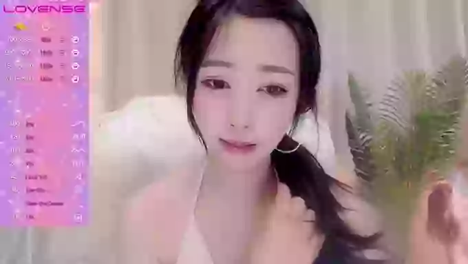 CAiHongtutu