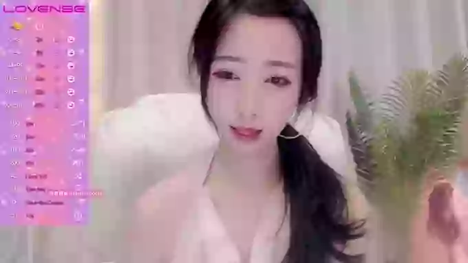 CAiHongtutu