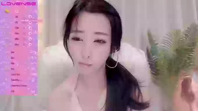 CAiHongtutu