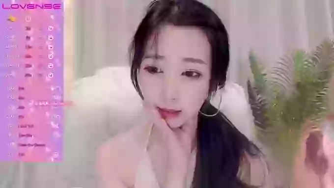 CAiHongtutu