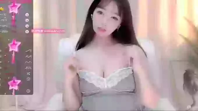CAiHongtutu